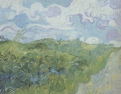 Vincent Van Gogh Green Wheat Fields (nn04) France oil painting art